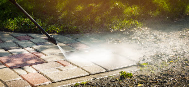 Best Animal Enclosure Cleaning  in Granville South, OH